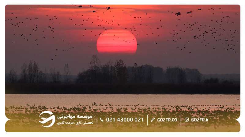پارک ملی هورتباگی