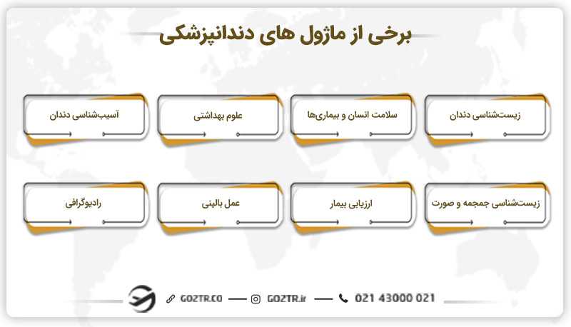 ساختار تحصیلی رشته دندانپزشکی