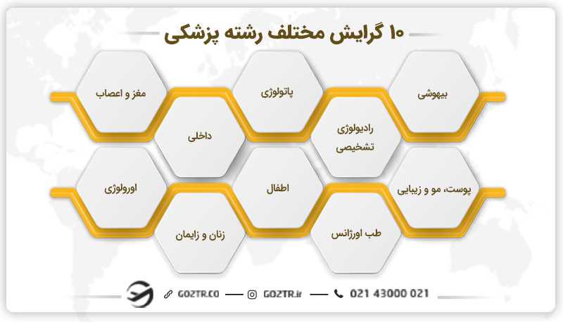 گرایش های مختلف رشته پزشکی