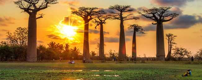 ماداگاسکار