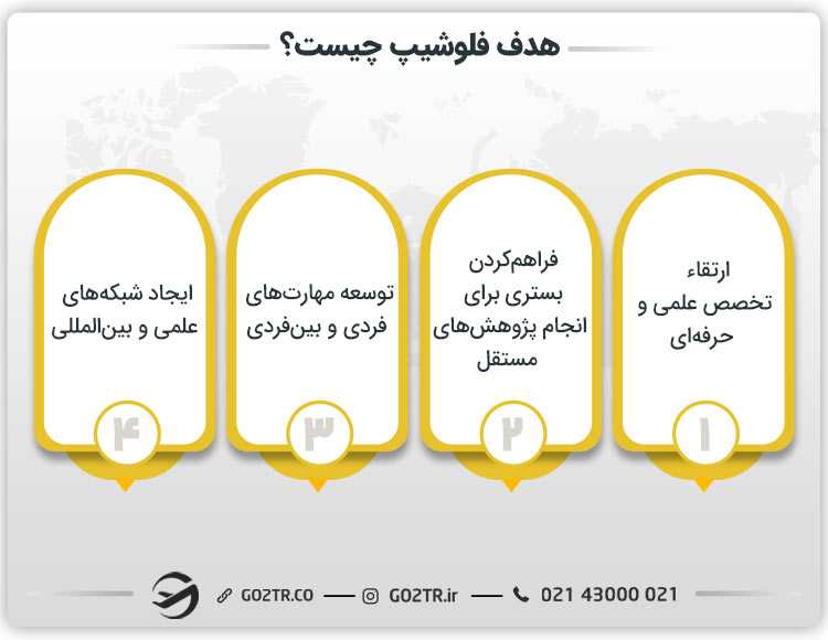 هدف فلوشیپ چیست؟