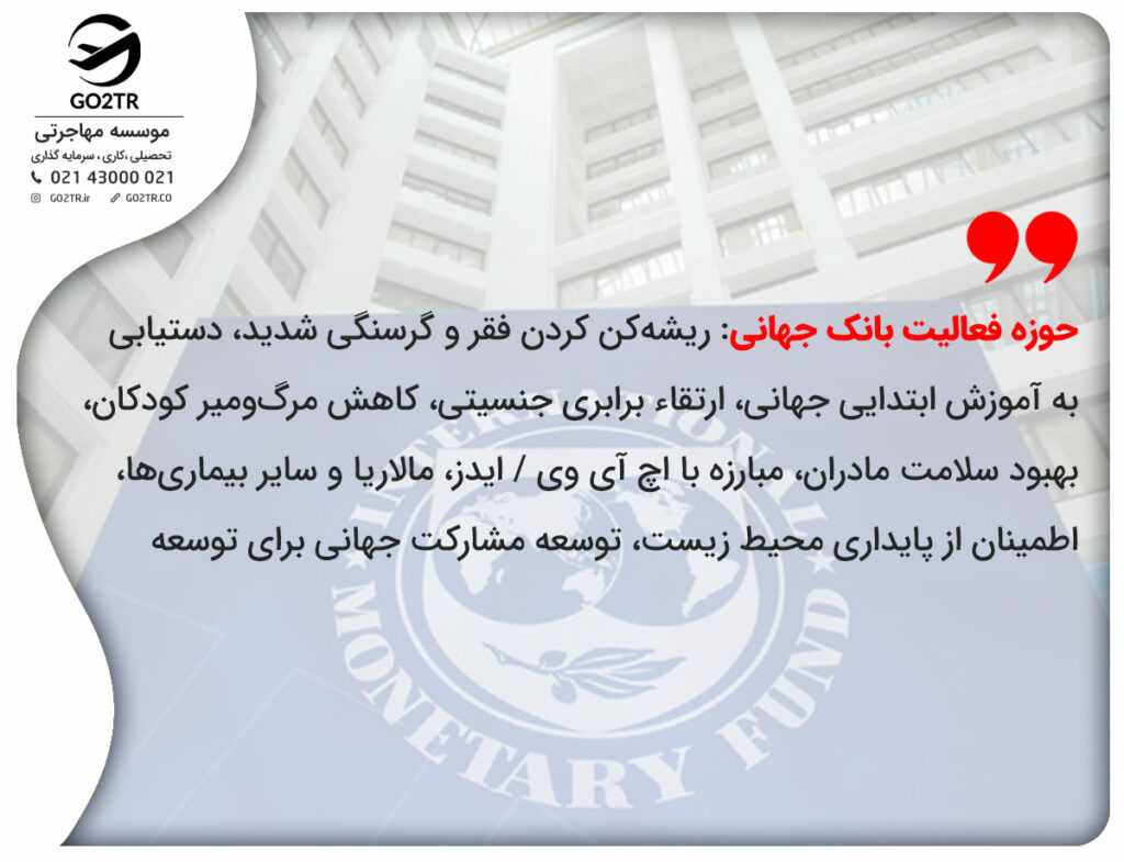 حوزه فعالیت بانک جهانی: ریشهکن کردن فقر و گرسنگی شدید، دستیابی به آموزش ابتدایی جهانی، ارتقاء برابری جنسیتی، کاهش مرگومیر کودکان، بهبود سلامت مادران، مبارزه با اچ آی وی / ایدز، مالاریا و سایر بیماریها، اطمینان از پایداری محیط زیست، توسعه مشاركت جهانی برای توسعه