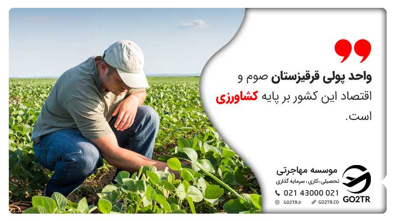 واحد پولی قرقیزستان صوم و اقتصاد این کشور بر پایه کشاورزی است. زندگی در قرقیزستان