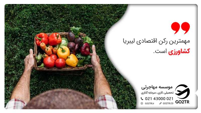 اقتصاد و منابع مالی و درآمدی لیبریا