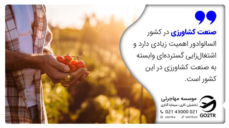 زندگی در السالوادور و صنعت کشور السالوادور