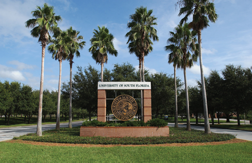 دانشگاه فلوریدا جنوبی (University of South Florida)