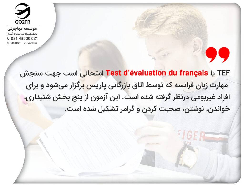 آزمون TEF
