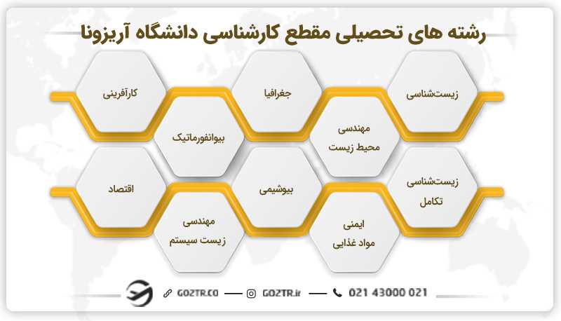 رشته های دانشگاه آریزونا آمریکا