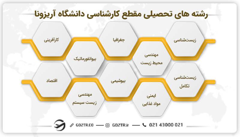 رشته های دانشگاه آریزونا آمریکا