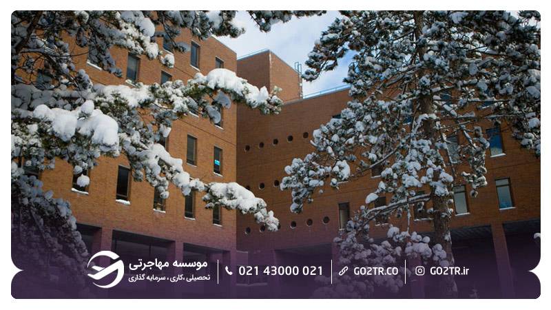 تصویر کتابخانه یاد‌بود لاک وود دانشگاه بوفالو آمریکا