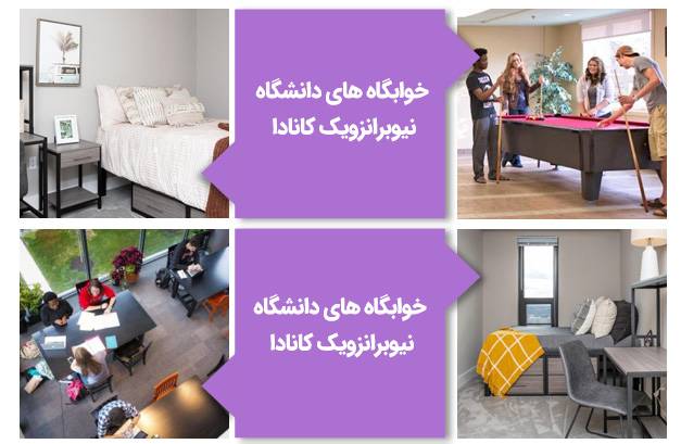 خوابگاه دانشگاه نیوبرانزویک کانادا
