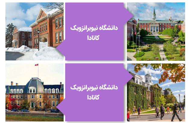 دانشگاه نیوبرانزویک کانادا