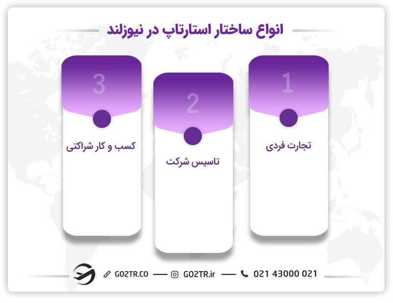ساختار برنامه استارتاپ نیوزلند
