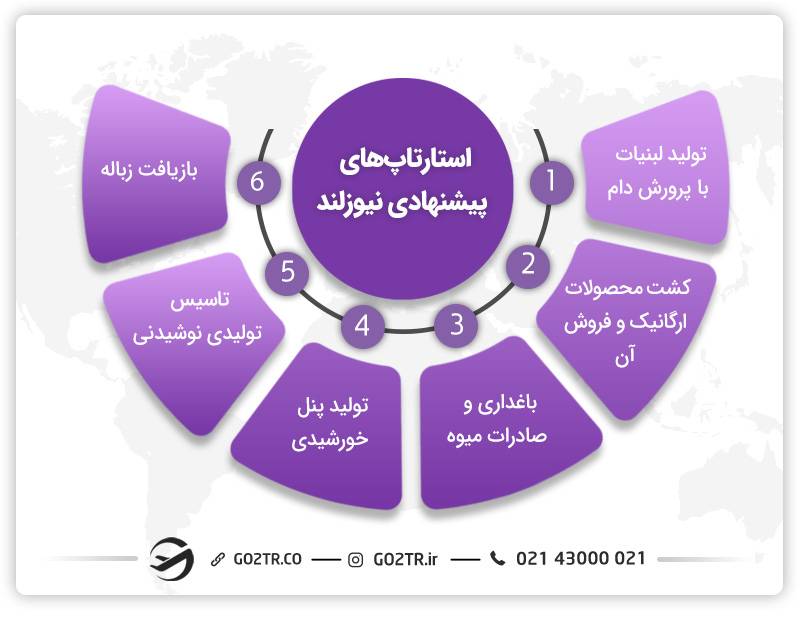 برنامه استارتاپ نیوزلند و انواع آن