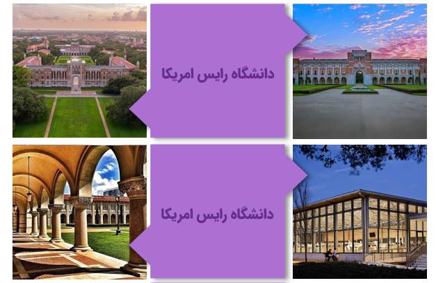 دانشگاه رایس آمریکا