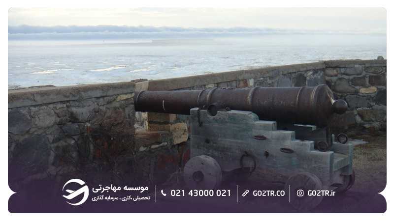 تصویر cape merry