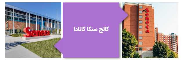 کالج سنکا کانادا