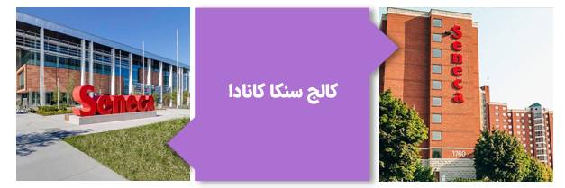 کالج سنکا کانادا