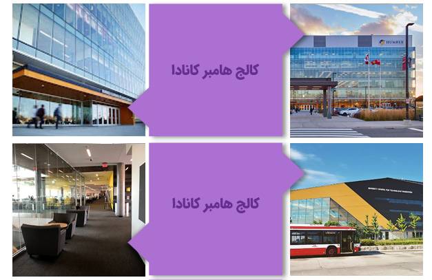 چند نمای مختلف از کالج هامبر کانادا