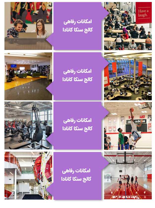 امکانات رفاهی کالج  سنکا کانادا