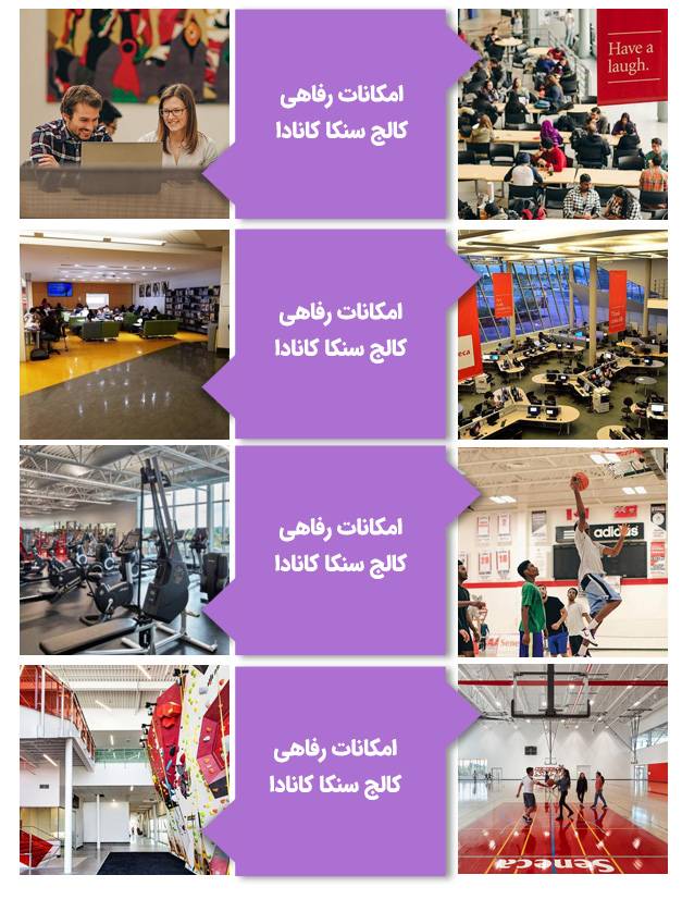 امکانات رفاهی کالج  سنکا کانادا