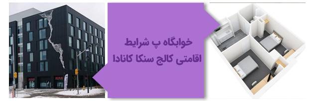 خوابگاه و شرایط اقامتی کالج سنکا کانادا