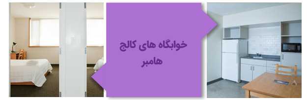 تصویری از یکی از خوابگاههای کالج هامبر کانادا