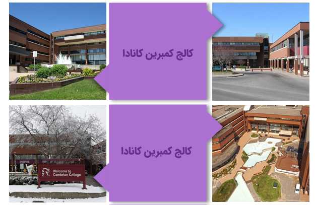 کالج کمبرین کانادا