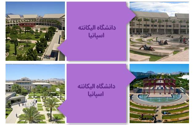 دانشگاه آلیکانته اسپانیا