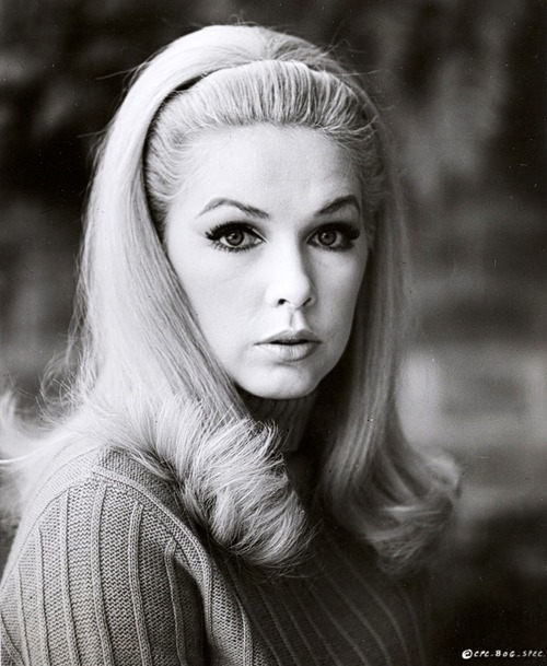 مشاهیر دانشگاه ممفیس آمریکا