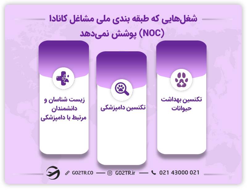 شغل‌هایی که طبقه‌بندی ملی مشاغل کانادا (NOC) پوشش نمی‌دهد