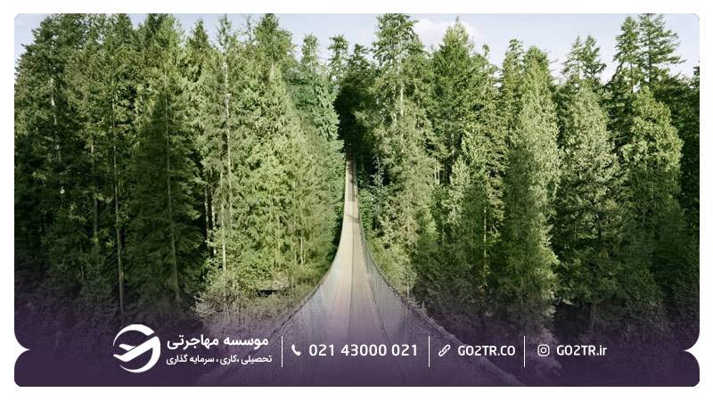 پارک پل معلق کاپیلانو ایالت بریتیش کلمبیا