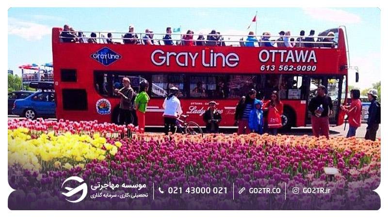 جشنواره لاله‌های کانادایی در شهر اتاوا کانادا
