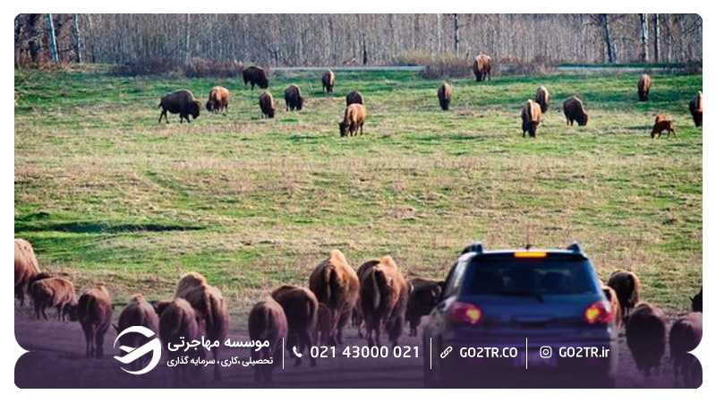 پارک ملی جزیره الک