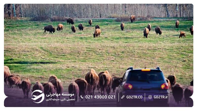 پارک ملی جزیره الک