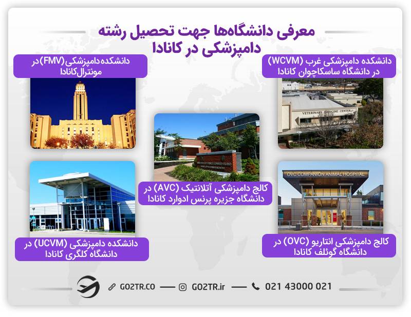  دانشگاه‌ها جهت تحصیل رشته دامپزشکی در کانادا