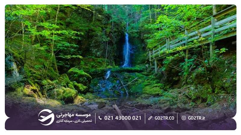 پارک ملی فاندی در ایالت نیوبرانزویک کانادا