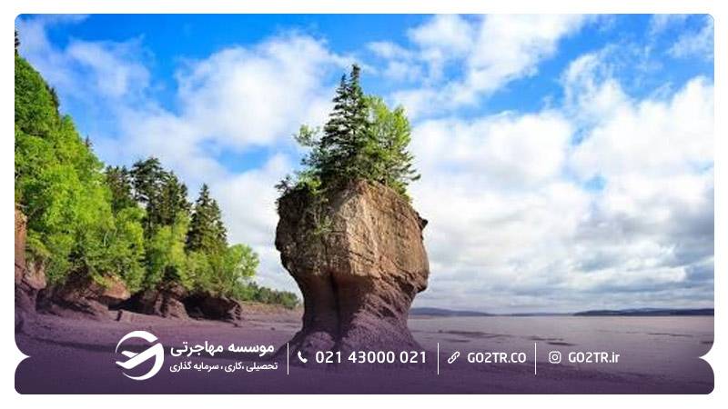 پارک استانی در ایالت نیوبرانزویک کانادا