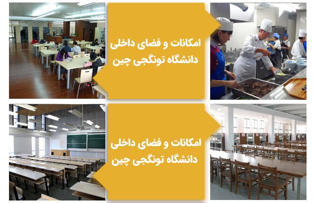 امکانات و فضای داخلی دانشگاه تونگجی چین