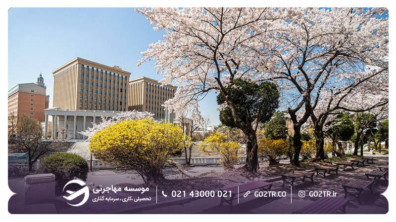 دانشگاه کیونگ هی کره جنوبی