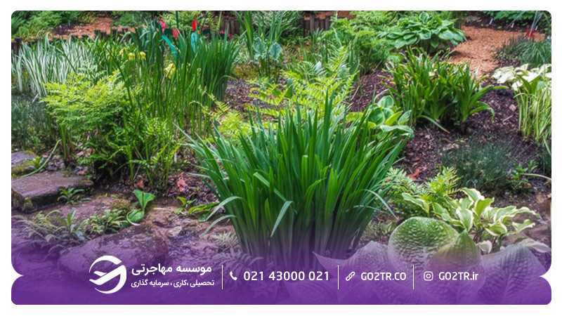پارک ایالتی مک کورمیک شهر بلومینگتون آمریکا