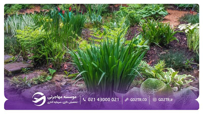 پارک ایالتی مک کورمیک شهر بلومینگتون آمریکا