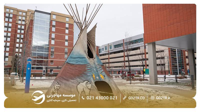 دانشگاه مک ایوان کانادا