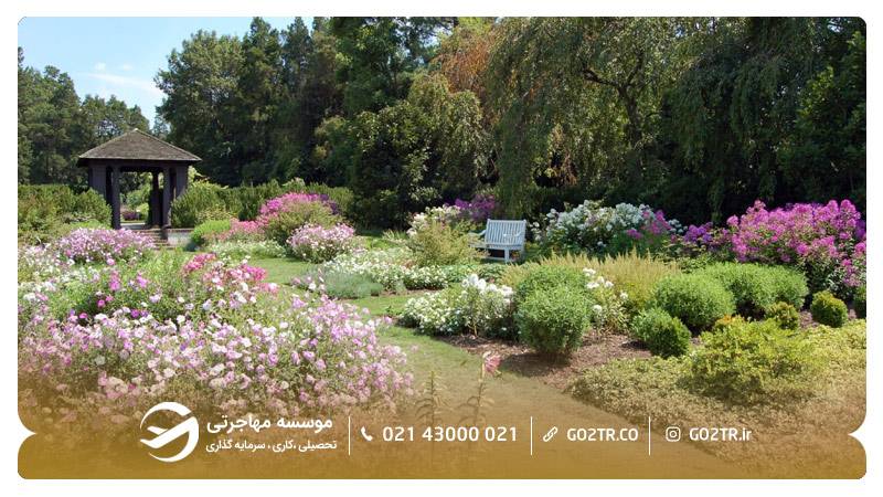 باغ مطالعات گیاهشناسی رینولدا شهر وینستون سالم