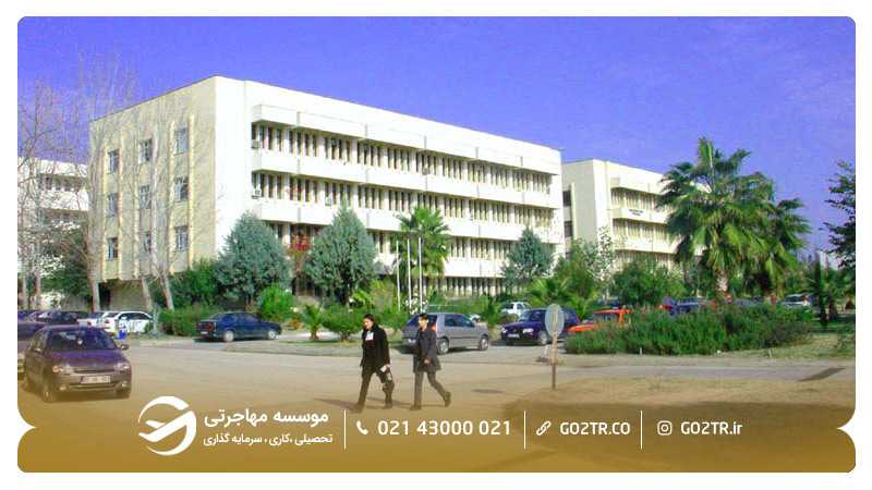 دانشگاه چوکوروا