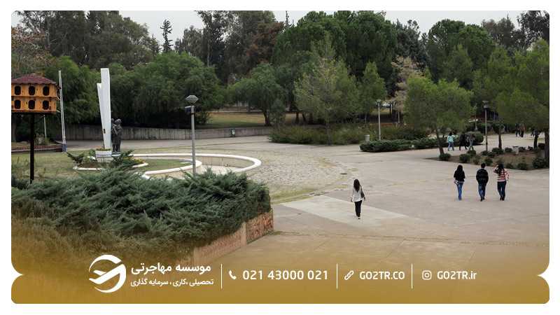 دانشگاه چوکوروا