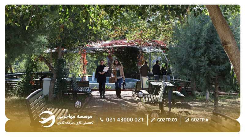 دانشگاه چوکوروا