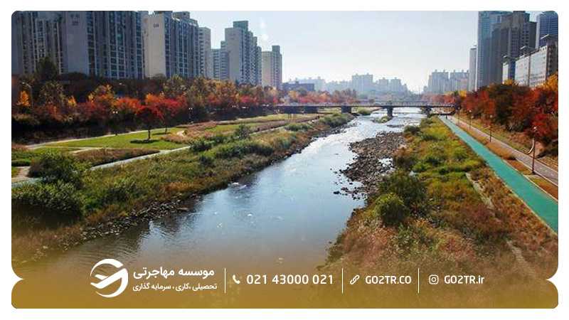 سئونگنام یکی از مهمترین شهرهای کشور کره جنوبی
