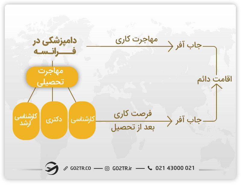 راه های تبدیل شدن به یک دامپزشک در فرانسه