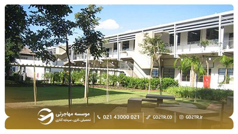 دانشگاه کمپیناس برزیل